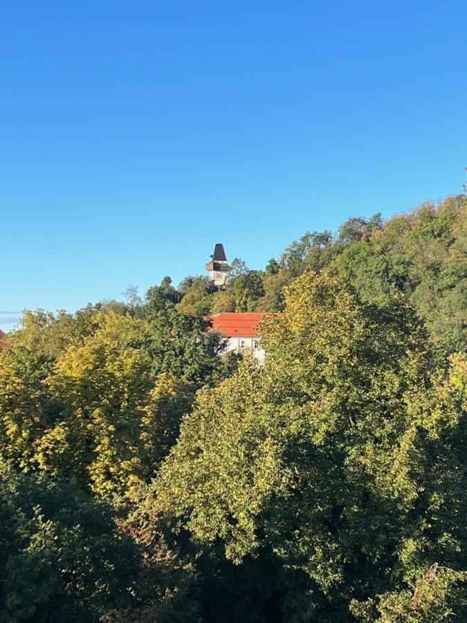 Cityview Apartment Graz Dış mekan fotoğraf